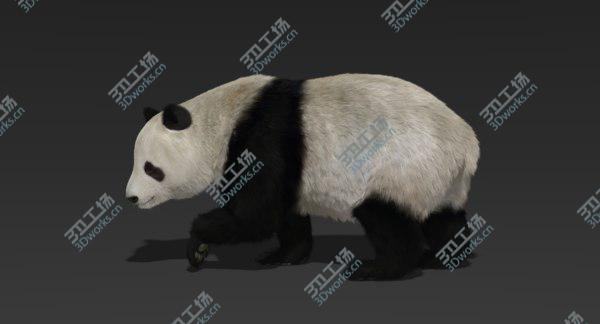 images/goods_img/20210312/3D Giant Panda (Fur) Rigged/1.jpg